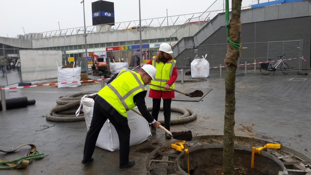 Een innovatieve groeiplaatsinrichting. De ondergrondse voorziening bestaat uit een raamwerk die het gewicht van de verharding opvangt gevuld met grond.