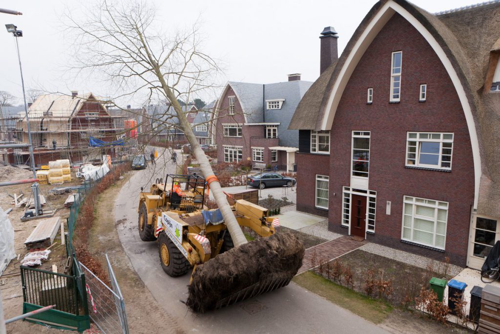 De verplanting in Park Brederode in Bloemendaal werd uitgevoerd met de Caterpillar verplantmachine. Er zijn ruim 2500 bomen beoordeeld op verplantbaarheid.