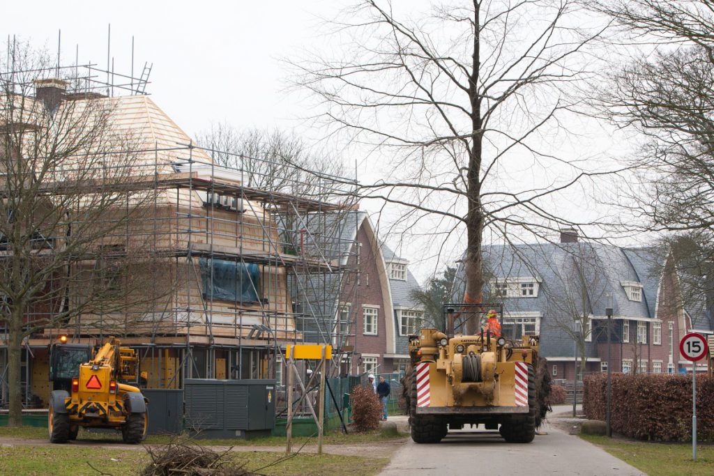 De verplanting werd uitgevoerd met de Caterpillar verplantmachine van Copijn Boomspecialisten. Ruim 2500 bomen beoordeeld op verplantbaarheid.