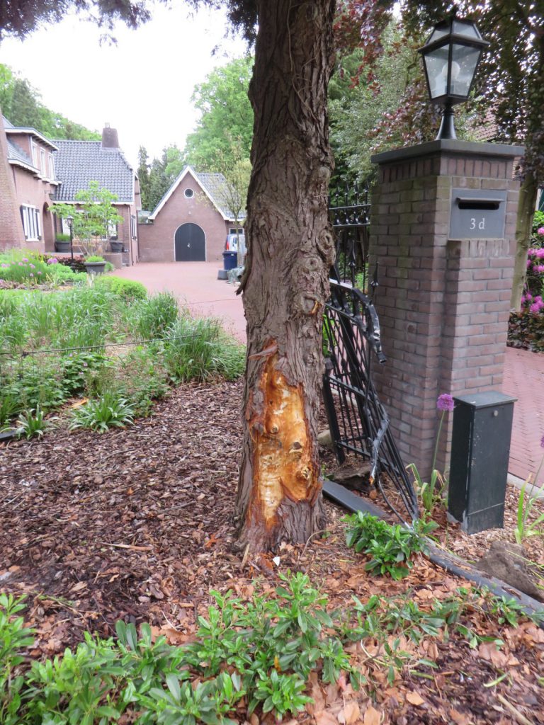 Boomtaxatie_taxateur_NVTB3