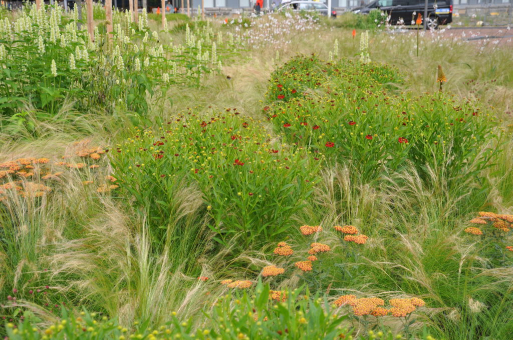 Diakonessenhuis Beplanting Copijn