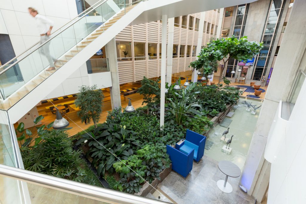 De binnentuin is langgerekt en heeft een functie als atrium; hierdoor konden hoge tropische bomen worden aangeplant.