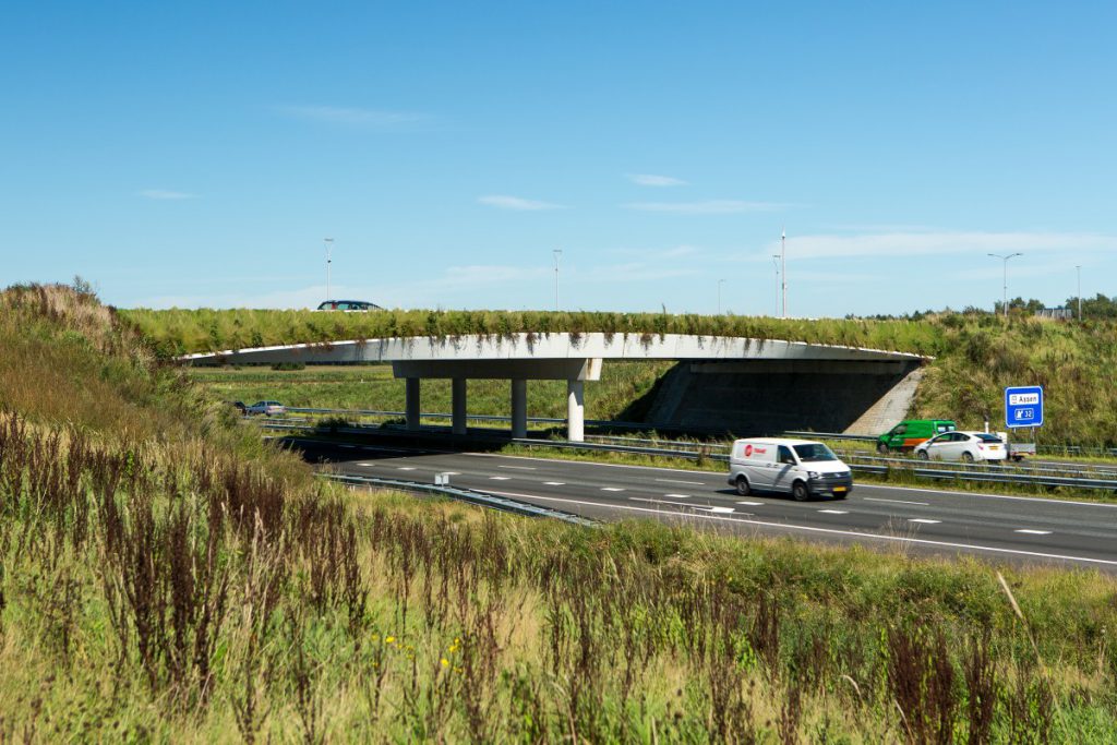 Door onze kennis van verticale beplanting werd Copijn Groenaanleg en beheer benaderd om het viaduct te bekleden met groene wand.