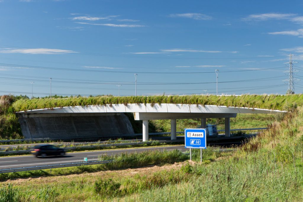 Door onze kennis van verticale beplanting werd Copijn Groenaanleg en beheer benaderd om het viaduct te bekleden met groene wand.