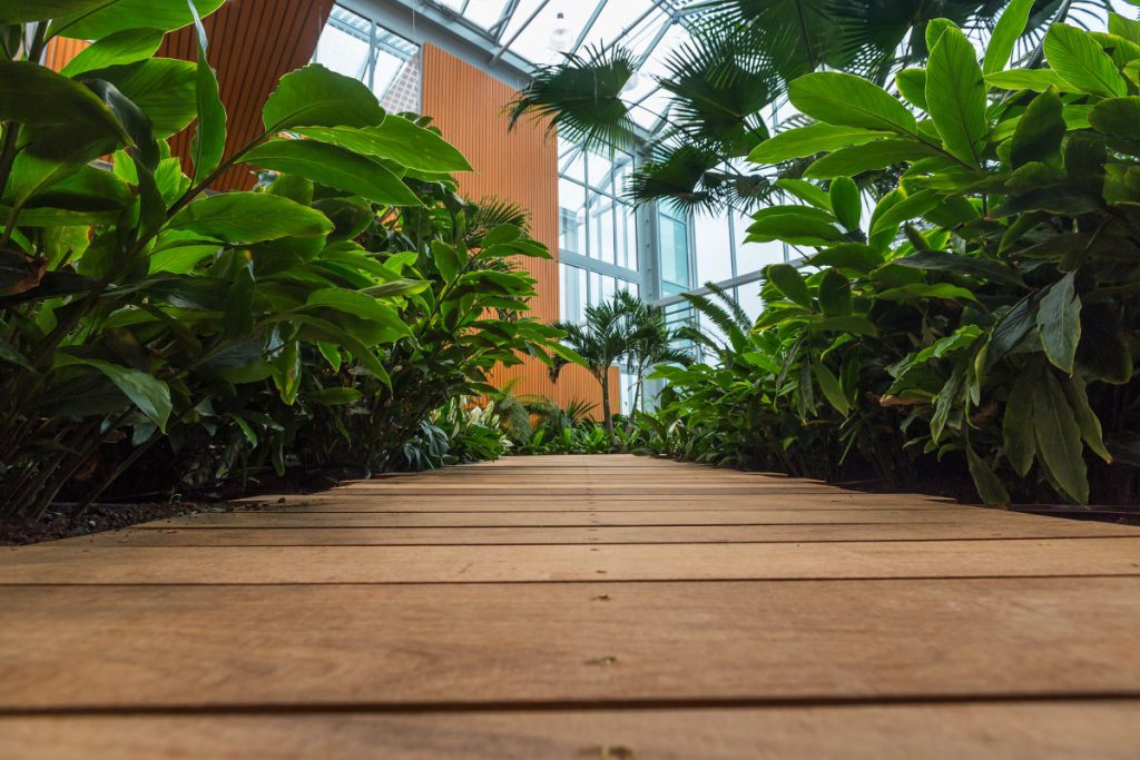 Copijn Interieurbeplanting binnentuin