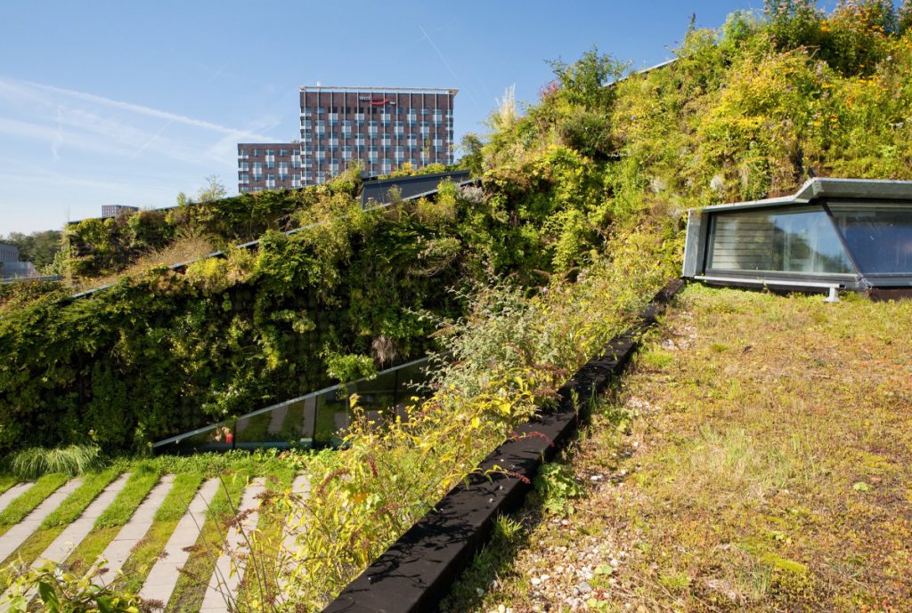 groene wand zijaanzicht sportplaza mercator copijn