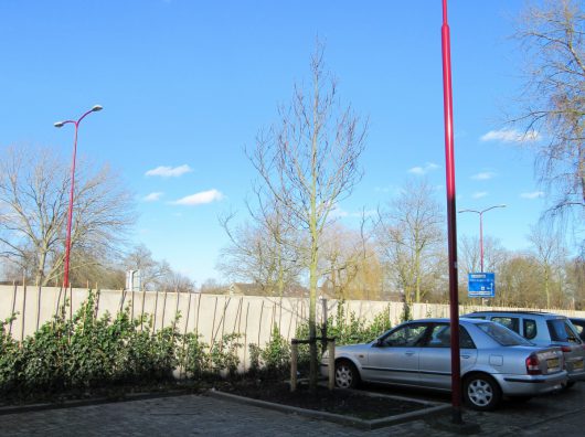 Groeiplaatsinrichting Copijn Nieuwegein