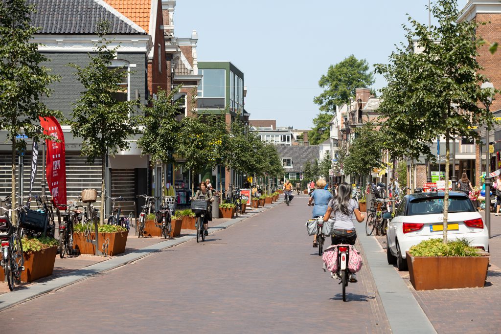 Boombakken Zaanstad Bomengranulaat copijn