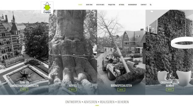 Copijn website