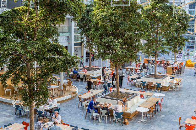 Vacature projectleider groen