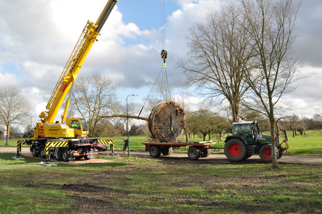 Copijn Boomverplanting Ministerie van Buitenlandse Zaken Telescoopkraan Tractor