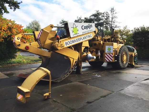 De grootste boom verplantmachine van Europa
