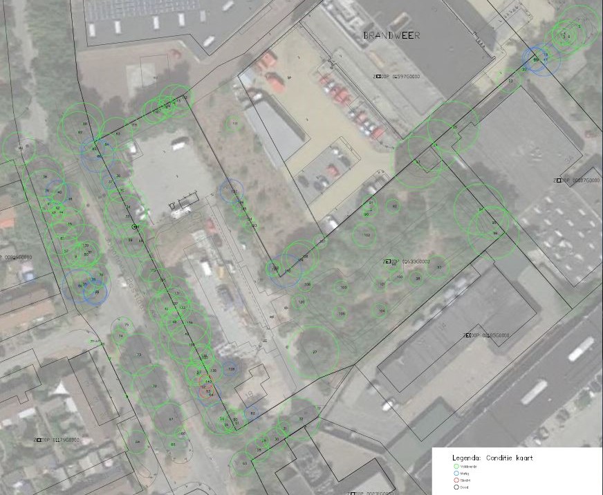 Conditiekaart bomen Gemeente Zeist Gemeentewerf Copijn