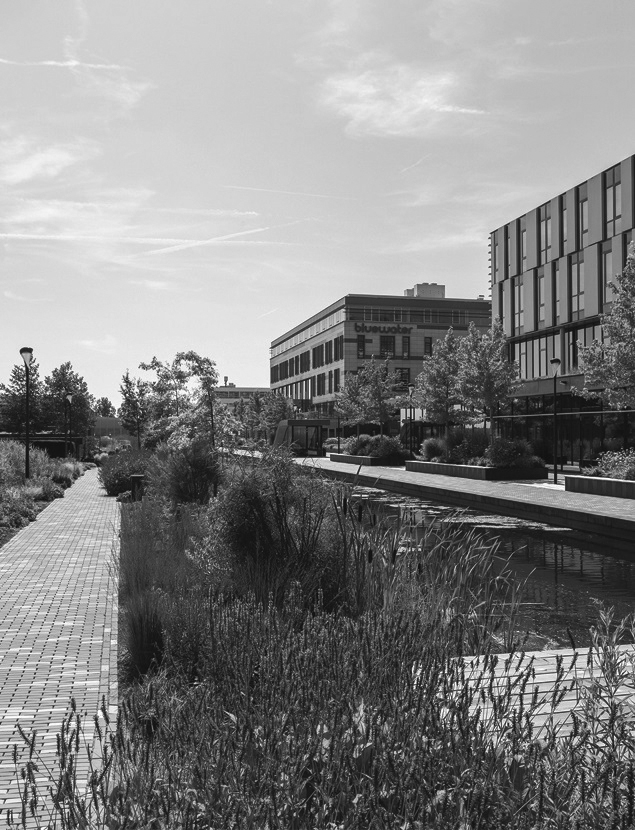 Park 2020 Copijn zw