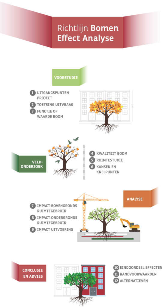 Richtlijn Bomen Effect Analyse Infographic