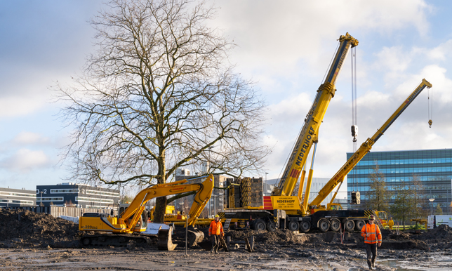 Verplanting Leiden